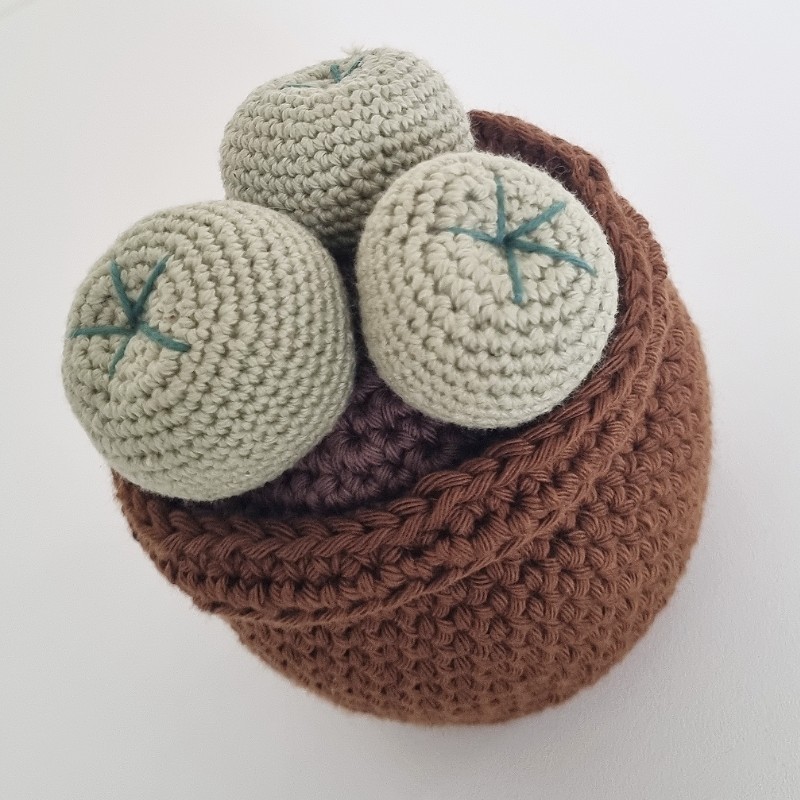 Crochet Cactus #5