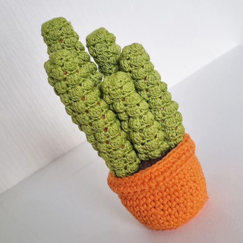 Crochet Cactus #6