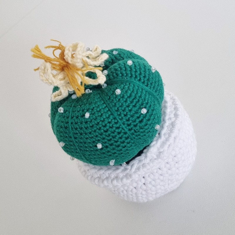 Crochet Cactus #7