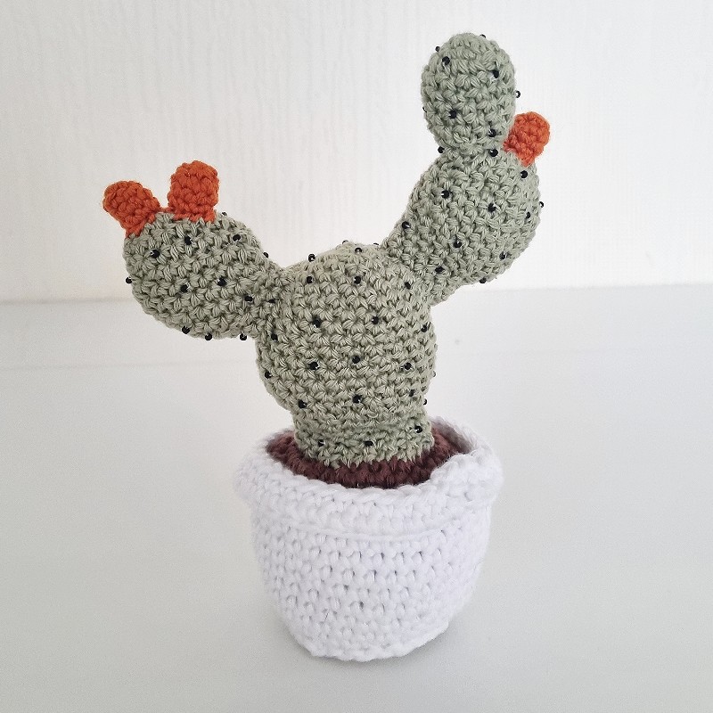 Crochet Cactus #8