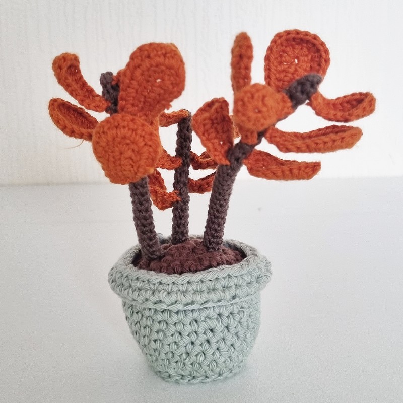 Crochet Cactus #9