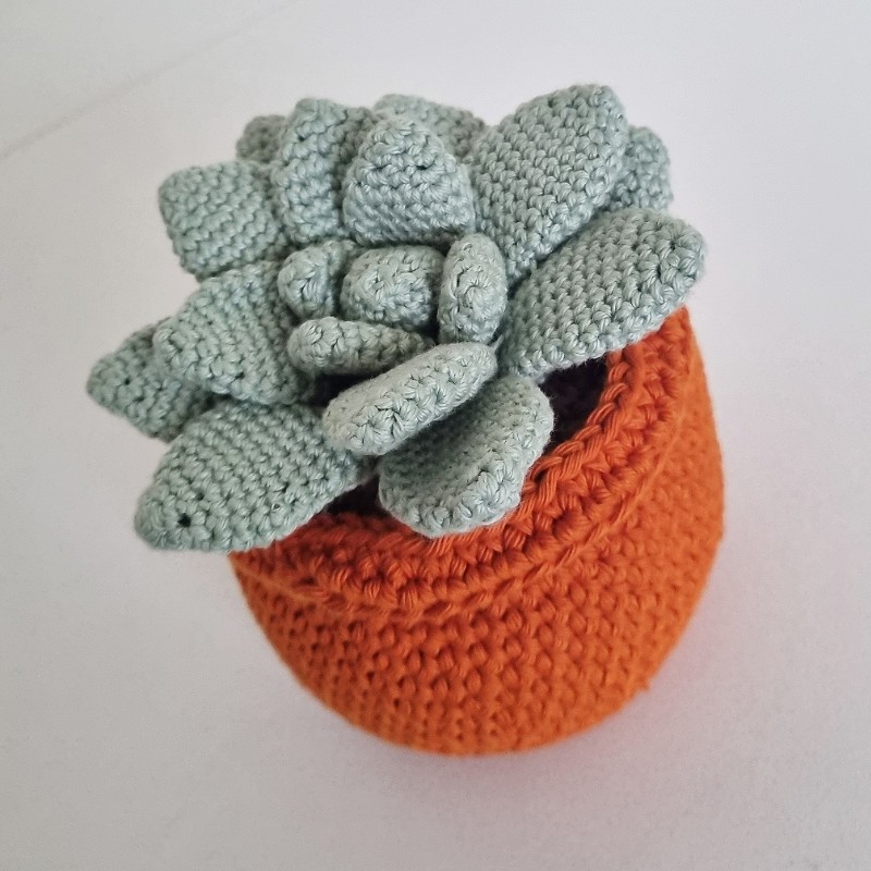 Crochet Cactus #10