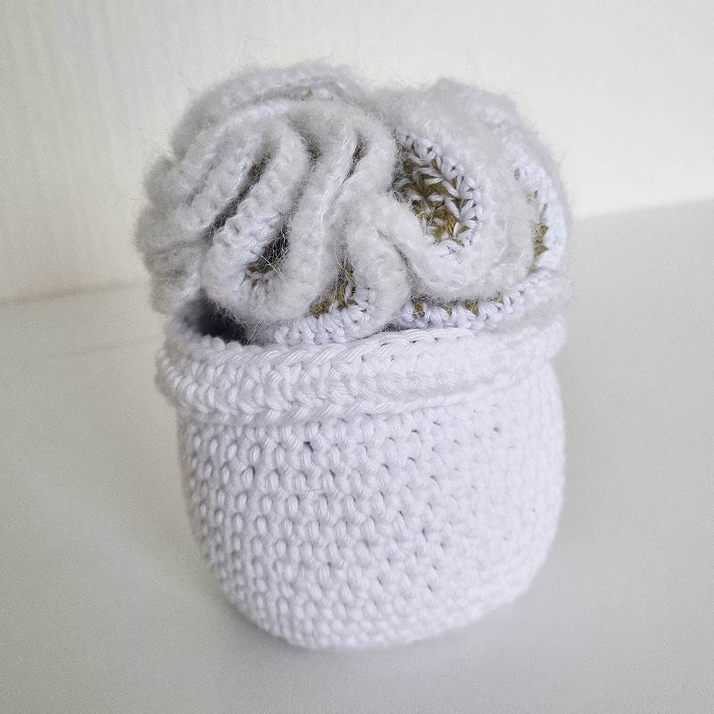 Crochet Cactus #12