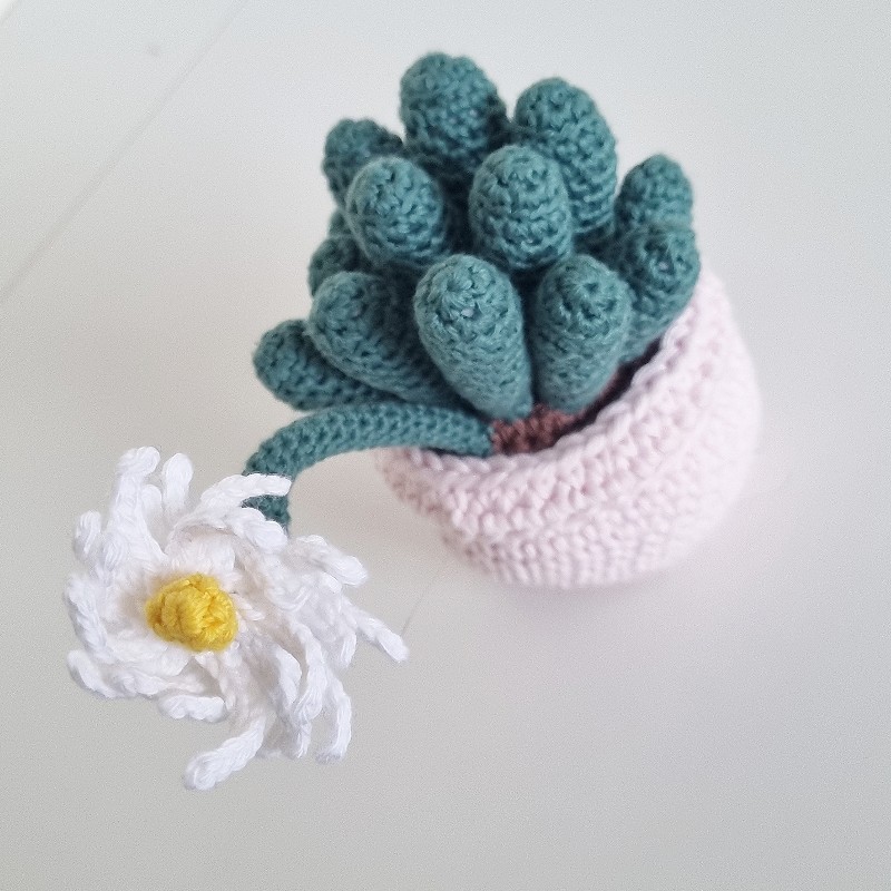 Crochet Cactus #13