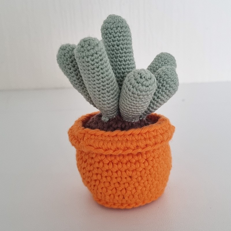 Crochet Cactus #15