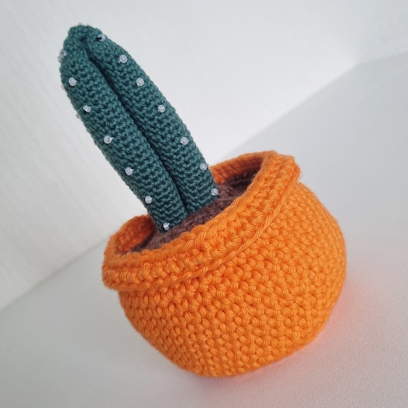 Crochet Cactus #19