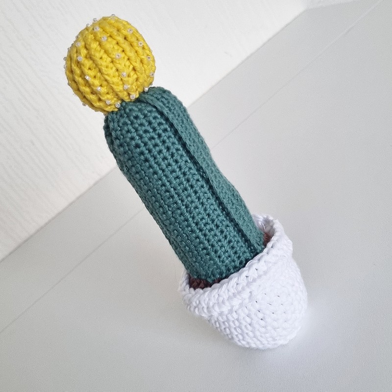 Crochet Cactus #21