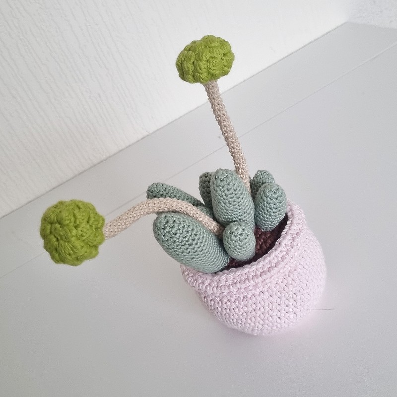 Crochet Cactus #1