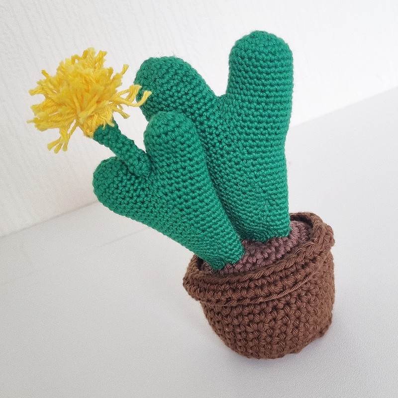 Crochet Cactus #2