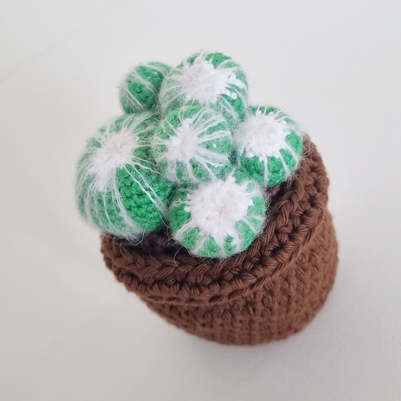 Crochet Cactus #4